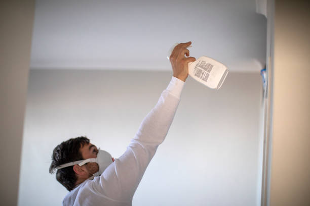 Best Mold Testing  in Red Corral, CA
