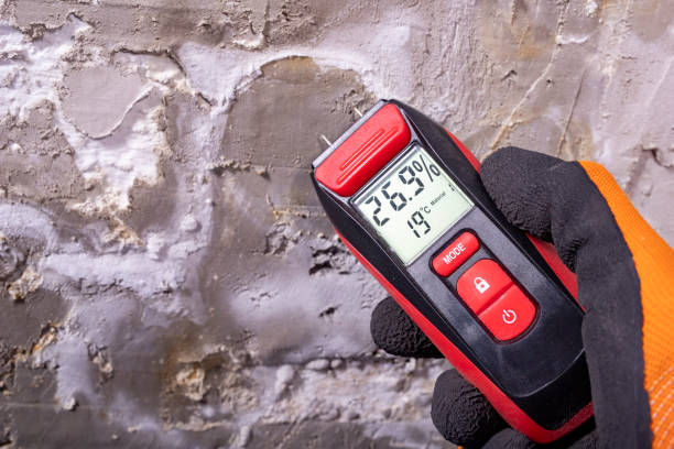 Best Office Mold Removal Services  in Red Corral, CA