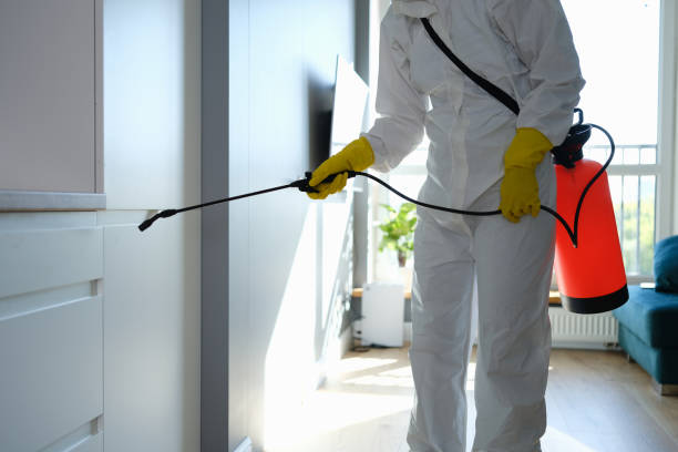 Best Toxic Mold Removal  in Red Corral, CA