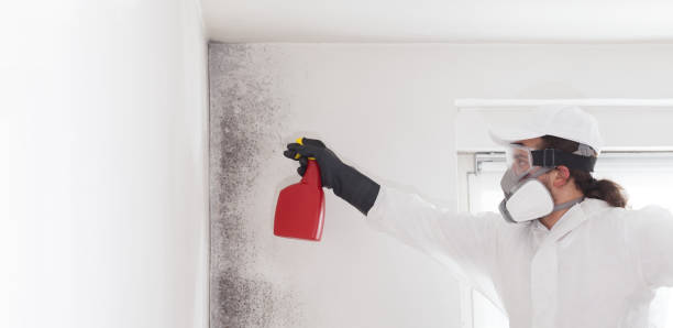Best Mold Testing  in Red Corral, CA